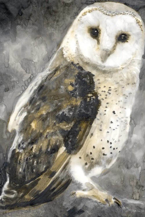 Snowy Owl II by Stellar Design Studio wall art