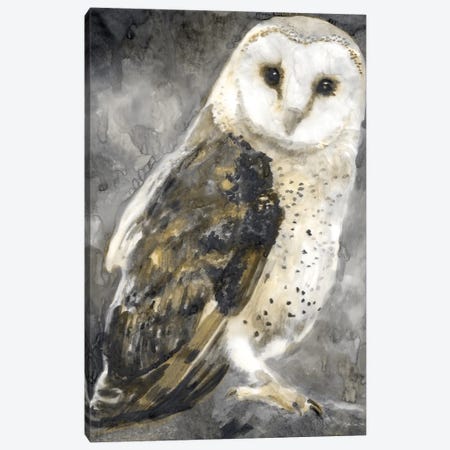 Snowy Owl II Canvas Print #SLD480} by Stellar Design Studio Canvas Wall Art