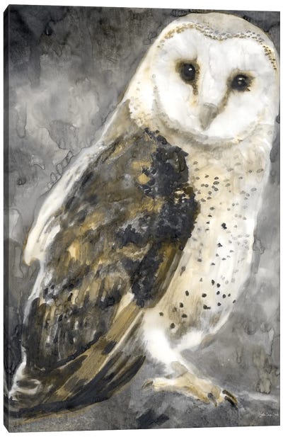 Snowy Owl II Canvas Art Print - Stellar Design Studio