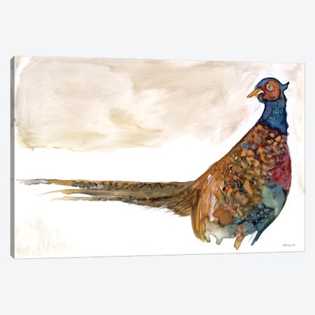 Pheasant I Canvas Print #SLD482} by Stellar Design Studio Canvas Wall Art