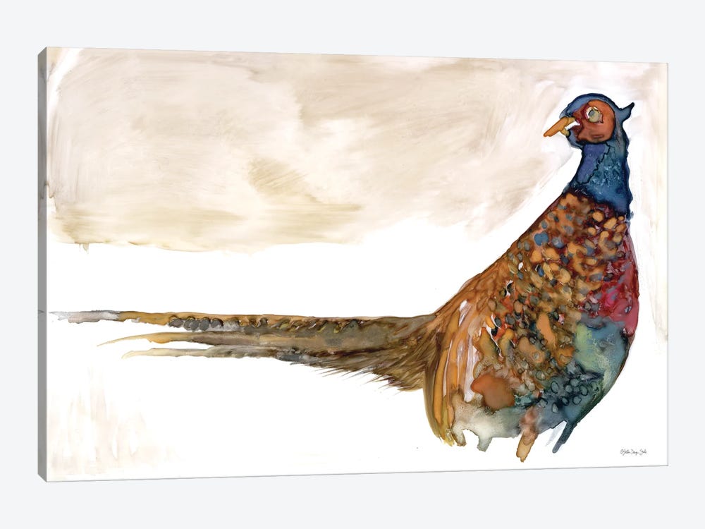 Pheasant I by Stellar Design Studio 1-piece Canvas Art