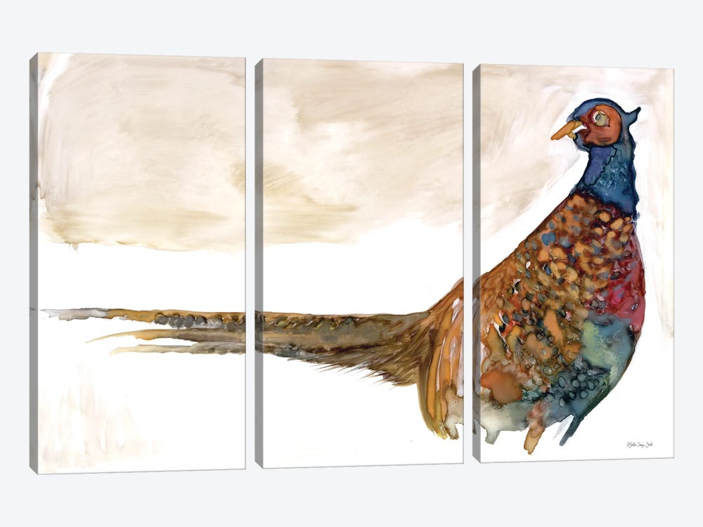 Pheasant I by Stellar Design Studio 3-piece Canvas Wall Art