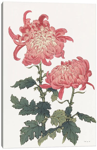 Pink Floral III Canvas Art Print - Illustrations 