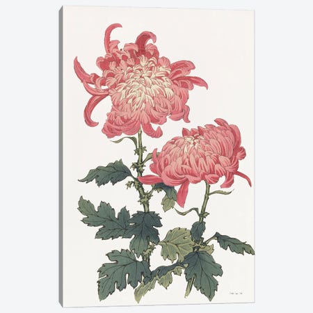 Pink Floral III Canvas Print #SLD490} by Stellar Design Studio Canvas Art Print