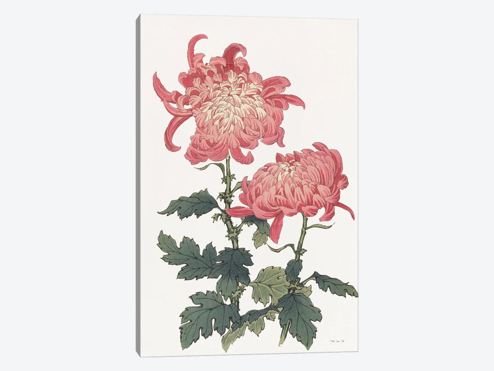 Pink Floral III by Stellar Design Studio 1-piece Canvas Print