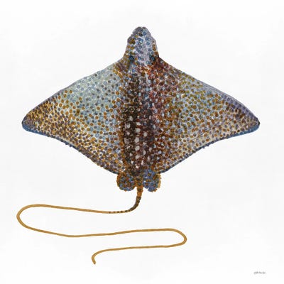 Canvas Art Prints: Eagle Ray I by Stellar Design Studio