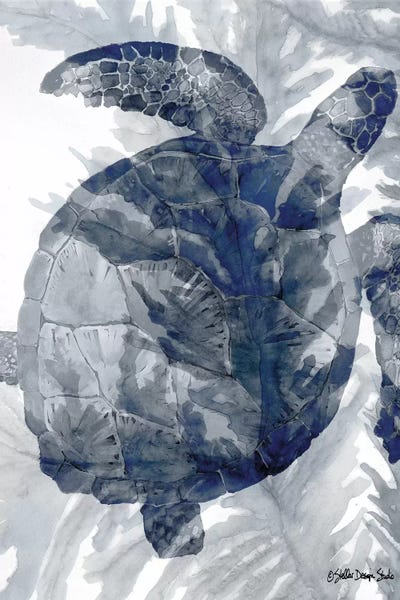 Reptiles & Amphibians: Ocean Collection III by Stellar Design Studio