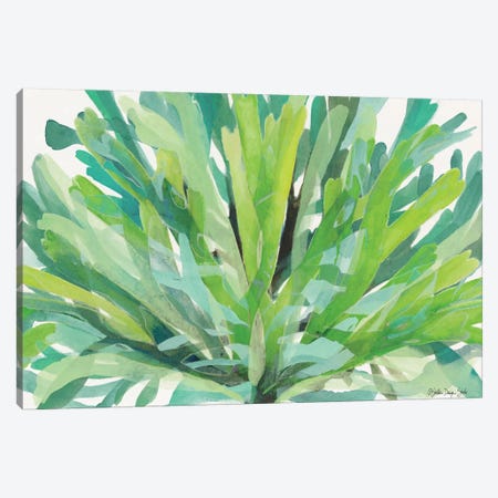 Tropical Sea Grass I Canvas Print #SLD61} by Stellar Design Studio Canvas Print