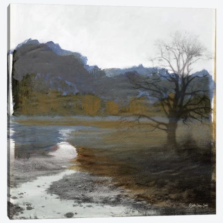 Winter Landscape VI Canvas Print #SLD63} by Stellar Design Studio Canvas Print