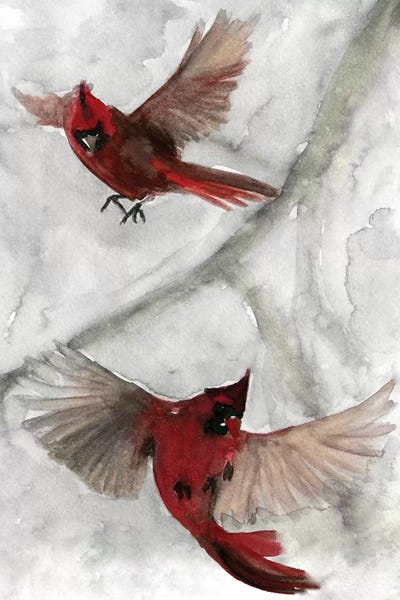 Cardinals: Cardinals I by Stellar Design Studio