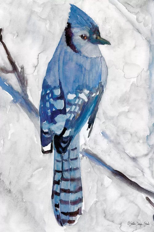 Blue Jay I by Stellar Design Studio wall art