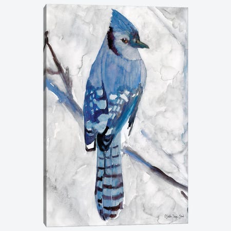 Blue Jay I Canvas Print #SLD72} by Stellar Design Studio Canvas Wall Art