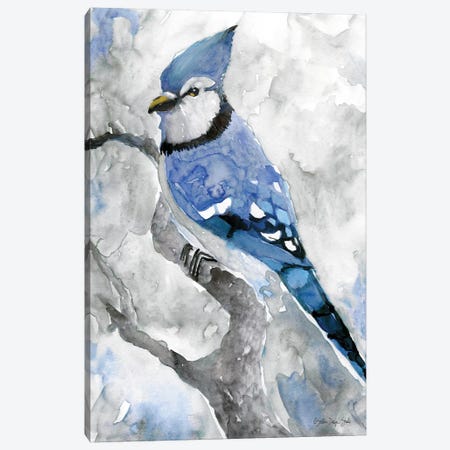 Blue Jay II Canvas Print #SLD73} by Stellar Design Studio Canvas Artwork