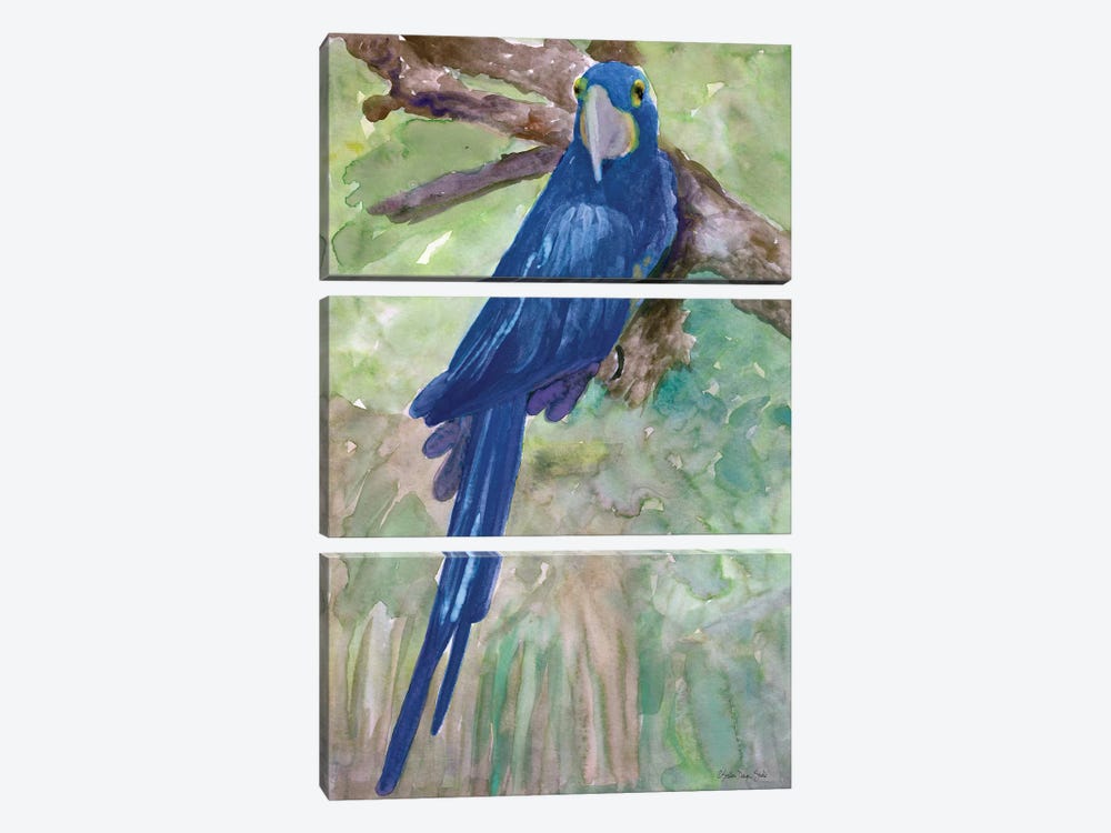 Blue Parrot I by Stellar Design Studio 3-piece Art Print