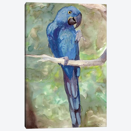 Blue Parrot II Canvas Print #SLD75} by Stellar Design Studio Art Print
