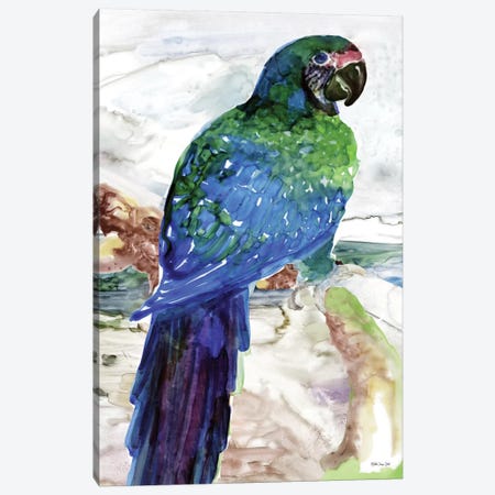 Blue Parrot on Branch I Canvas Print #SLD76} by Stellar Design Studio Canvas Print