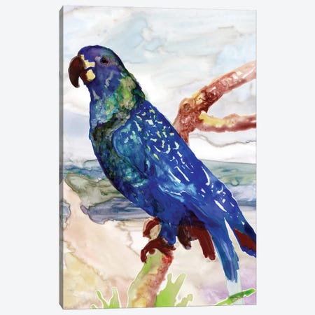 Blue Parrot on Branch II Canvas Print #SLD77} by Stellar Design Studio Canvas Print