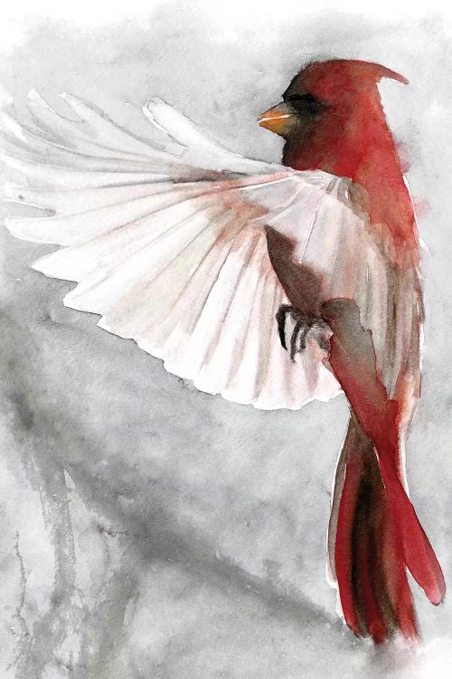 Cardinals II