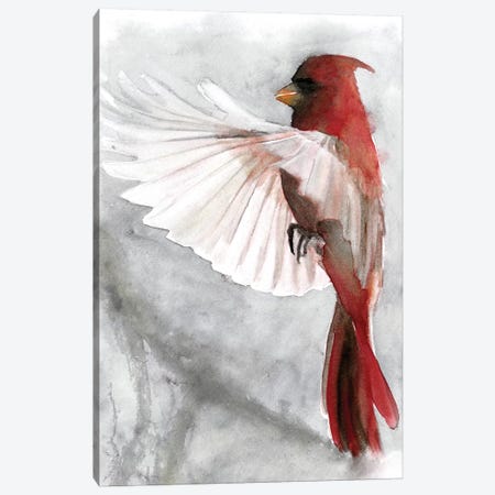 Cardinals II Canvas Print #SLD7} by Stellar Design Studio Canvas Art Print