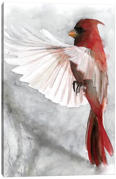Cardinals II Canvas Art Print - Cardinal Art