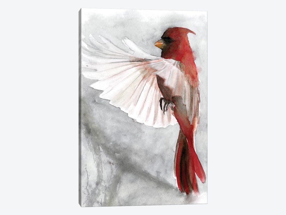 Cardinals II by Stellar Design Studio 1-piece Canvas Artwork