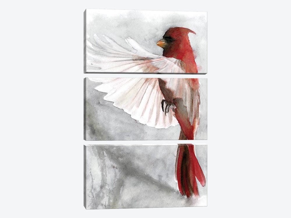 Cardinals II by Stellar Design Studio 3-piece Canvas Artwork