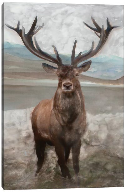 Grand Elk I Canvas Art Print - Elk Art