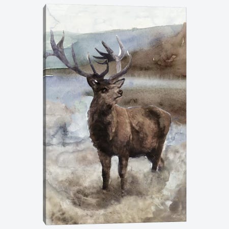 Grand Elk II Canvas Print #SLD92} by Stellar Design Studio Canvas Wall Art