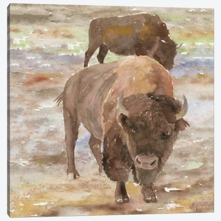 Great Buffalo Canvas Print #SLD93} by Stellar Design Studio Canvas Artwork