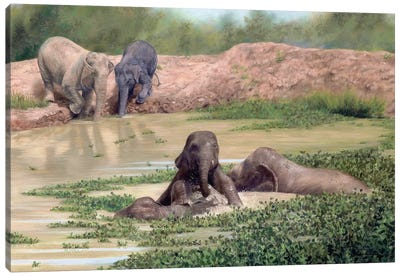 Asian Elephants Canvas Art Print - Photorealism Art