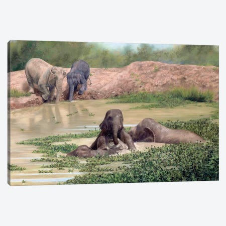 Asian Elephants Canvas Print #SLG10} by Rachel Stribbling Canvas Print