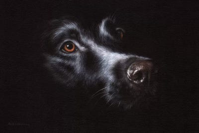 Black Labrador by Rachel Stribbling framed wall art