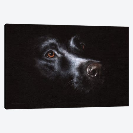 Black Labrador Canvas Print #SLG11} by Rachel Stribbling Canvas Art Print