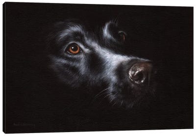 Black Labrador Canvas Art Print - Black & Dark Art