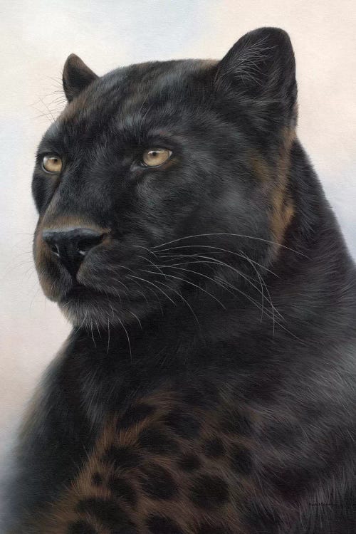 Black Leopard