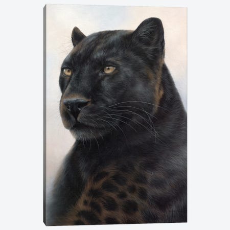 Black Leopard Canvas Print #SLG12} by Rachel Stribbling Art Print