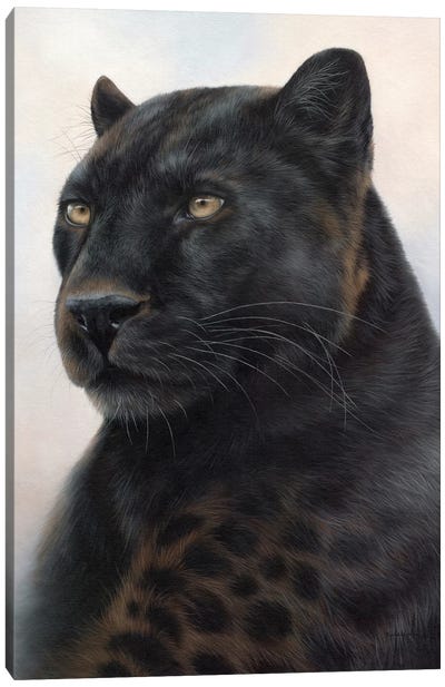 Black Leopard Canvas Art Print