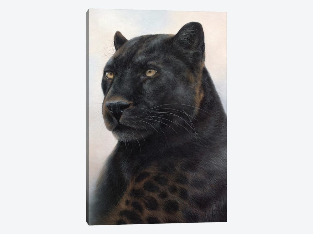 Black Leopard by Rachel Stribbling 1-piece Canvas Print