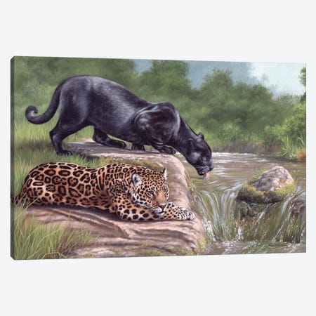 Black Panther And Jaguar Canvas Print #SLG13} by Rachel Stribbling Canvas Print