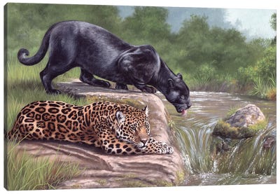 Black Panther And Jaguar Canvas Art Print - Jaguar Art