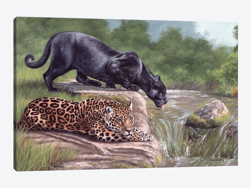 Black Panther And Jaguar by Rachel Stribbling 1-piece Canvas Art