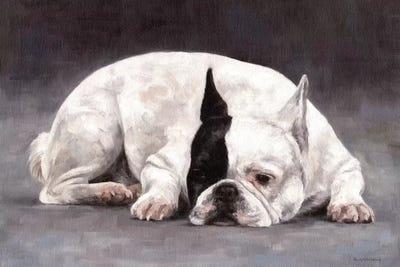 French Bulldog by Rachel Stribbling framed wall art