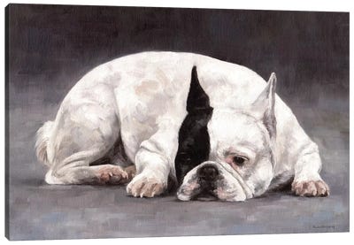 French Bulldog Canvas Art Print - Photorealism Art