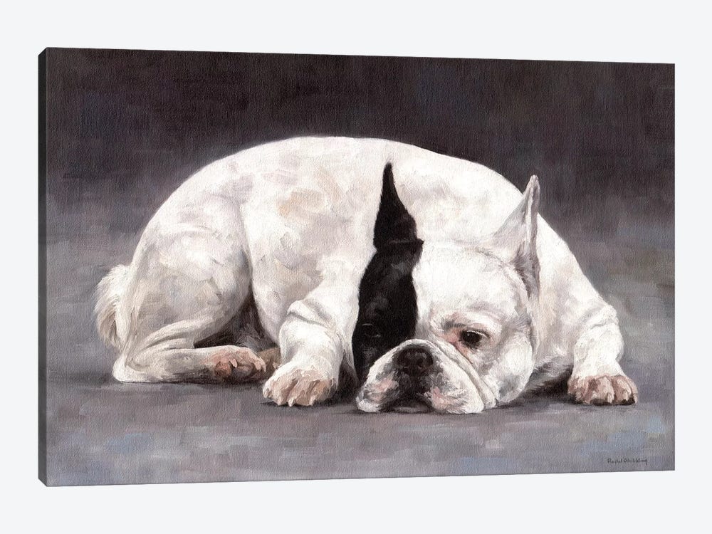 French Bulldog by Rachel Stribbling 1-piece Canvas Artwork