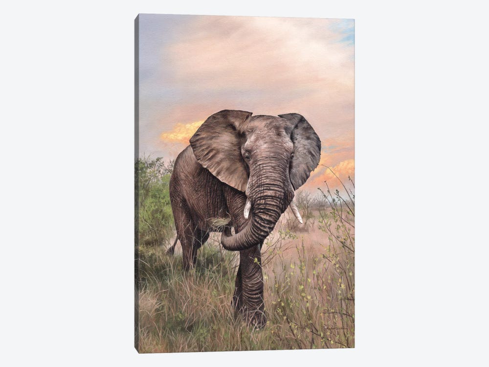 African Elephant by Rachel Stribbling 1-piece Canvas Art Print