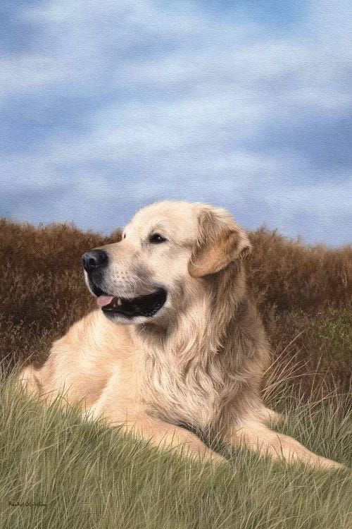 Golden Retriever by Rachel Stribbling wall art