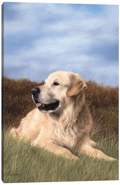 Golden Retriever Canvas Art Print - Rachel Stribbling