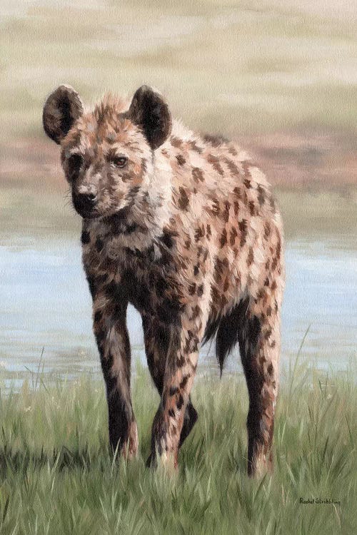 Hyena