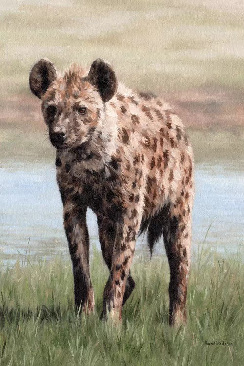 Hyena by Rachel Stribbling wall art