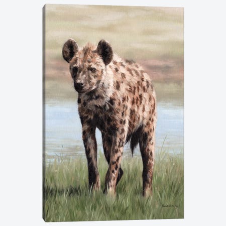 Hyena Canvas Print #SLG22} by Rachel Stribbling Canvas Art